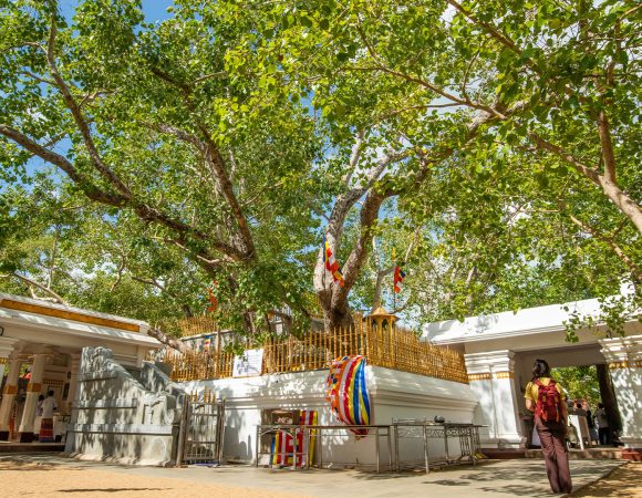 Anuradhapura